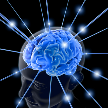 Blue Brain Logo